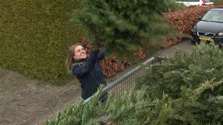 Kerstbomen verzilverd voor duofiets [upl. by Aisac]