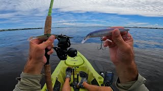 Surprise Catch Florida Tidal River Fishing With Lures [upl. by Euqinim]