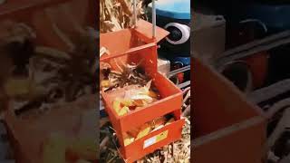 small crawler tractor with corn harvester effect demonstration tractorvideos tractors johndeere [upl. by Schreiber387]