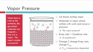 Evaporation Vapor Pressure and Boiling [upl. by Hime792]