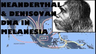 Denisovan and Neanderthal DNA Helped Melanesians Survive and Thrive [upl. by Tallie]