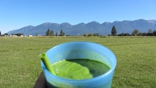 Green Spinach Avocado Smoothie Alkaline Cleanse [upl. by Isdnil529]