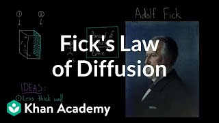 Ficks law of diffusion  Respiratory system physiology  NCLEXRN  Khan Academy [upl. by Lipscomb46]