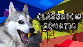 Classroom Aquatic Indie Dolphin Cheating ITS NOT A REAL DOLPHIN HA [upl. by Dloniger]