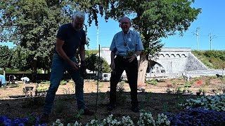 Plantation du nouveau jardin des apparitions à Beauraing [upl. by Yanej]