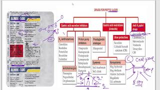 Amoxicillin  Azithromycin  Ciprofloxacin  Cefpodoxime  Moxifloxacin  Cotrimazole  Mechanism [upl. by Tews188]