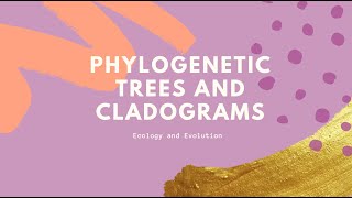 Constructing a Cladogram [upl. by Crescentia286]