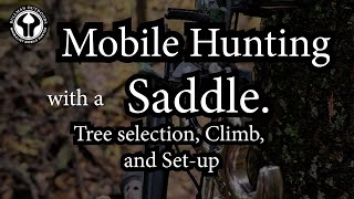 Mobile Hunting with a Saddle Picking a tree climbing and set up to film [upl. by Tharp71]