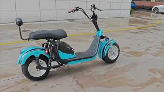 Factory Shooting 1500W 60V 40AH Battery Citycoco Electric Scooter Chopper Motorcycle EEC Adult Ebike [upl. by Gorlin]