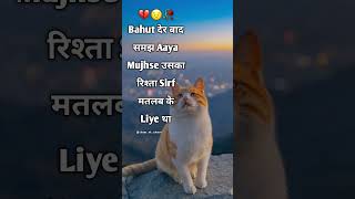 मतलबी रिश्ता 💔😣  Aesthetic Quotes  Whatsapp Status  Sad shorts love breakup explore whatsapp [upl. by Merce750]