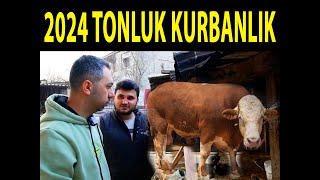 TARIM TUBE YUNUSUN 1 TON OLACAK KURBANLIK DANA SÖZÜ VERİLDİ  2024 KURBAN FİYATLARI NE OLUR [upl. by Glendon]