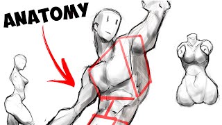 How I Would Learn Anatomy If I Could Start Over [upl. by Laurel]