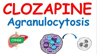 Clozapine and agranulocytosis [upl. by Anialem559]