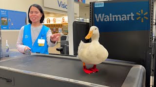 I took my duck to Walmart [upl. by Helaine]