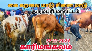 19112024 karimangalam market கை கறவை மாடு சினை மாடு காரிமங்கலம் மாட்டு சந்தை தருமபுரி மாவட்டம் [upl. by Assirhc617]