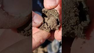 OMG INSIDE THE MUD BALL 🤯 gold treasure ring coin metaldetecting treasurehunting [upl. by Hazard]