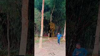 Snake to dinosaur attack amp trees hide magic video 😆shorts trendingshorts [upl. by Gus]