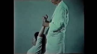 Seated Shiatsu Shizuto Masunaga 16 [upl. by Nalrah]