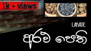 අරඵ පෙති Arulu pethi LAKADE [upl. by Chladek713]