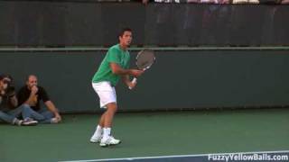 Fernando Verdasco Forehands in HD [upl. by Hpseoj]