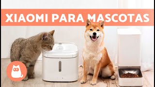 COMEDERO y BEBEDERO automáticos de XIAOMI para PERROS y GATOS 🐶🐱 Características y Beneficios [upl. by Tony559]