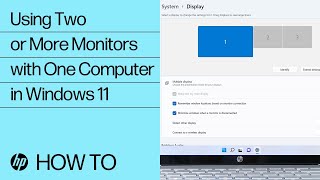 Using Two or More Monitors with One Computer in Windows 11  HP Computers  HP Support [upl. by Witt]