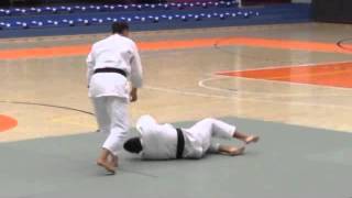 Amsterdam 30 August 2015  Tenjin Myōshin Ryū heihō jūjutsu [upl. by Ecirtnom]