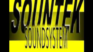 MICHAEL PALMER DUBPLATE quotSOUND BOY DEADquot REGGAE DUB [upl. by Ottinger]