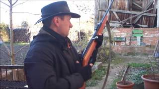 Luftgewehr Haenel 310 Plinking [upl. by Socha823]