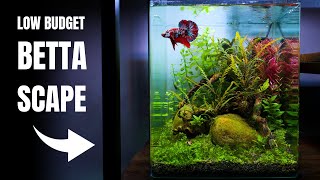 CAN I BUILD A NANO AQUASCAPE FOR 100 EUROS Low Budget Betta Aquarium [upl. by Yrot]