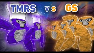 TMRS VS GS [upl. by Allenrac]