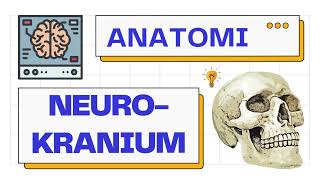 Anatomi Neurokranium Calvaria amp Basis Cranii  Anatomy 101 [upl. by Marquita787]