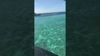 🛩️ Spectacular TMA Seaplane Ride  Soar Over the Maldives 🌊✨ [upl. by Phio]