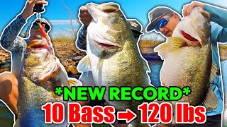 I Caught 10 Bass Weighing 120 POUNDS New Record [upl. by Tempest]