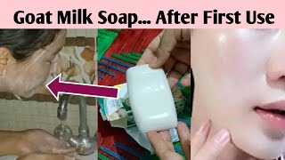 Skin White Goat Milk Soap Complete Review  Goat Milk Benefits As Best Whitening Night Cream [upl. by Berck]