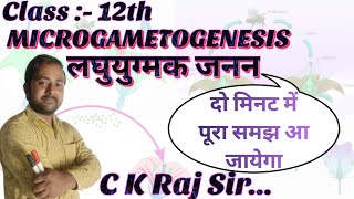 Microgametogenesis लघुयुग्मक जनन detailed lecture of MICROGAMETOGENESIS C K Raj Sir [upl. by Belak190]