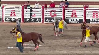 Bareback Relay Horse Racing at the Calgary Stampede 2024 Race 2 [upl. by Mareah285]