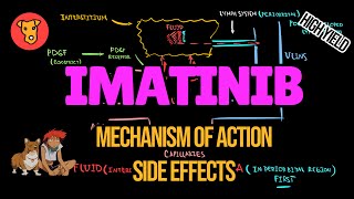 IMATINIB Gleevec Mechanism of action Side effectsPathogenesis of Periorbital edema Muscle Cramps [upl. by Toni]