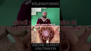 Aykut Elmas Vine😂shorts vines vinevideo aykutelmas aykutelmasvine komedi komik çokkomik iyi [upl. by Eirolav]