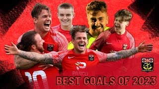 Highlights  Fareham Town  Best Goals of 2023 [upl. by Shuman557]