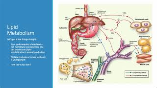 Dyslipidemia and Atherosclerosis [upl. by Notsecnirp996]