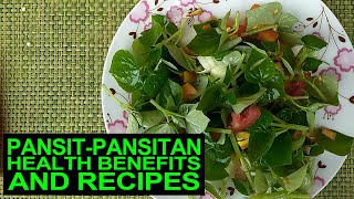 Pansitpansitan Health Benefits And Recipes [upl. by Fitzsimmons]