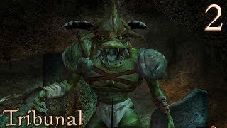 02 Goblins Under Godsreach — Morrowind Tribunal [upl. by Georgiana]