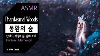 ASMR 몽환의 숲 밤의 소리🌙  정령의 숲fantasyambience잠잘오는relax명상불면증집중study 몽롱한Phantasmal Woodssleep [upl. by Stovall]