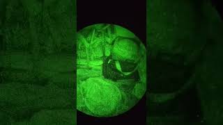 ANVIS 9 NVG test nightvision tactical viralvideo aviation nocturnal [upl. by Venus]