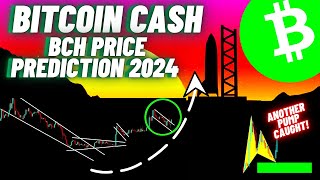 Bitcoin Cash BCH Crypto Coin Update [upl. by Erickson]