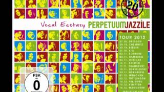 Perpetuum Jazzile quotVocal ecstasyquot CDDVD super box is OUT [upl. by Edmea11]