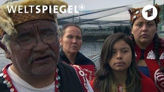 First Nations gegen Fischfarmen  Weltspiegel [upl. by Vannie]