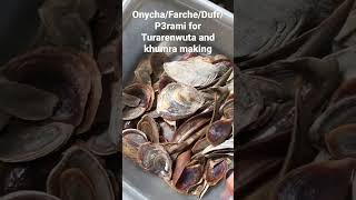 Clean Onycha For Turarenwuta and khumra fragrance perfumeoil river oilperfume naturalperfume [upl. by Anazus]