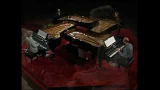 Canto Ostinato for four pianos Simeon ten Holt [upl. by Candida]